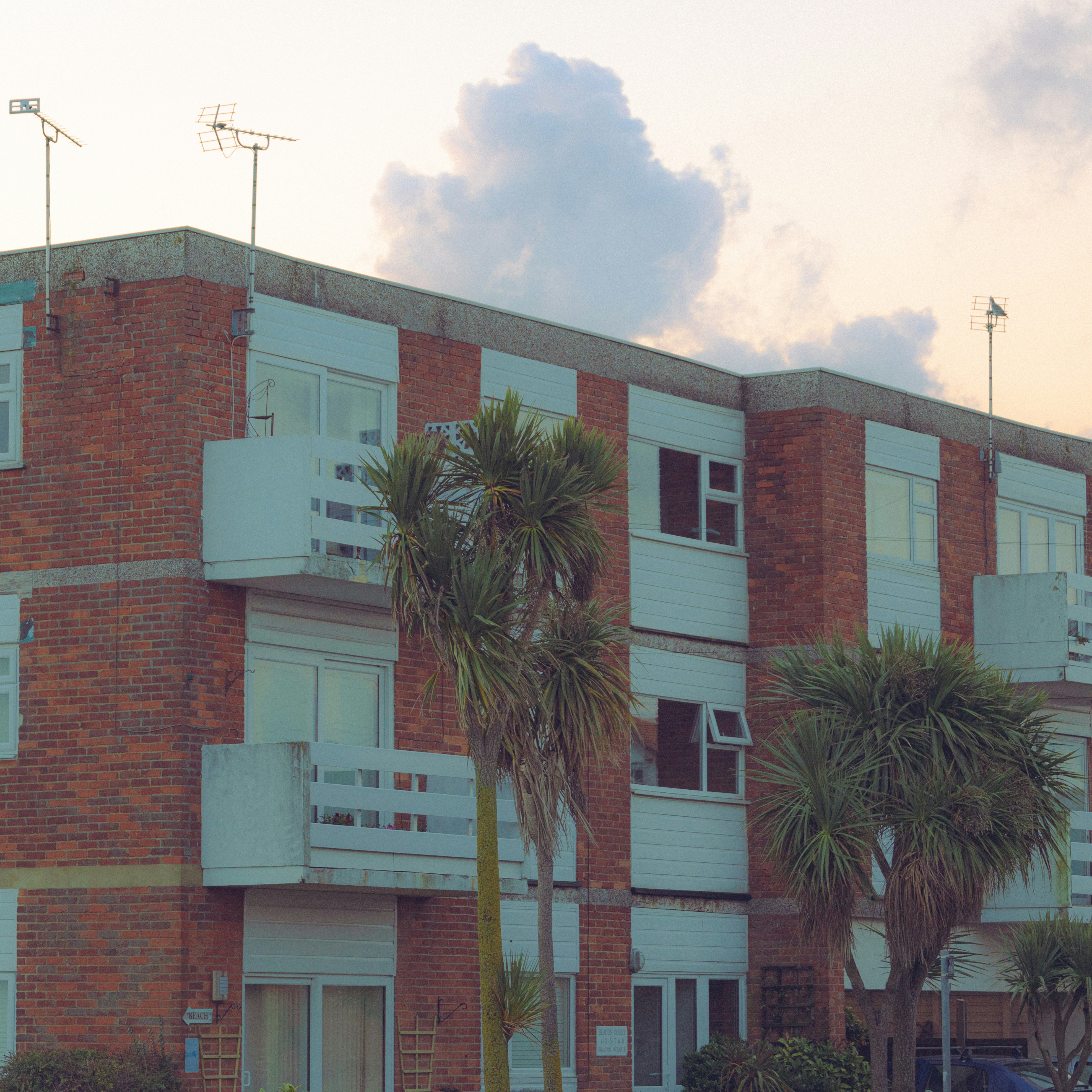 brown and white concrete building near palm trees during daytime